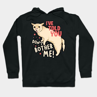 I've Told You Don't Bother Me Hoodie